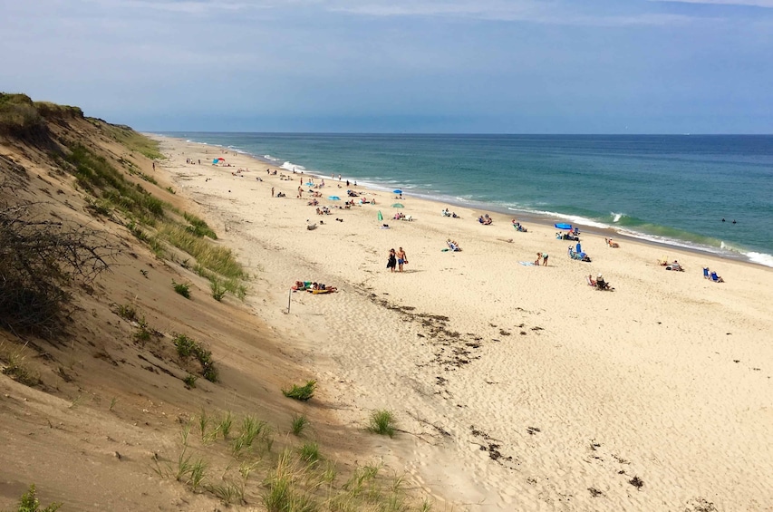 1-Day Cape Cod Tour from Boston