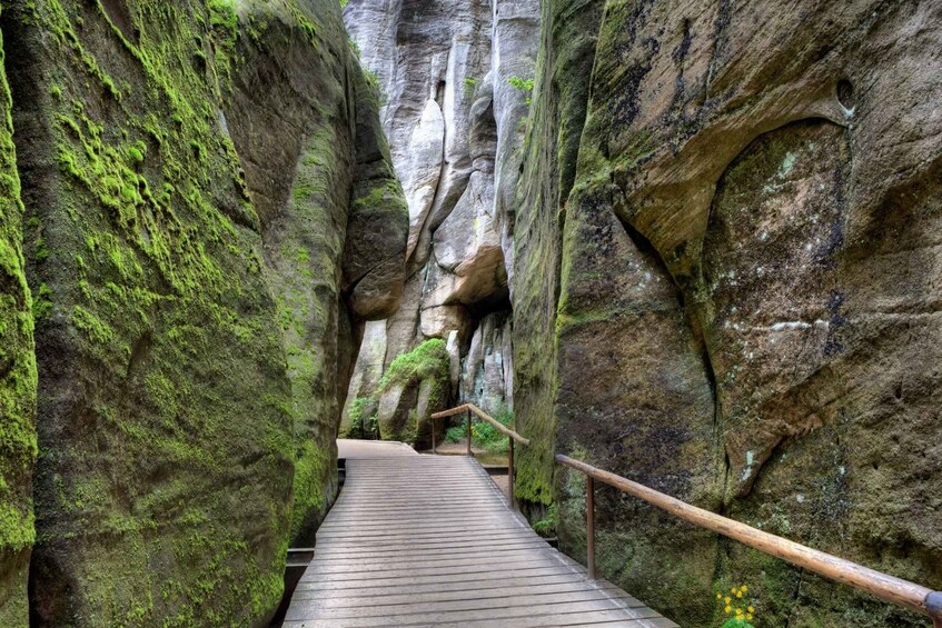 Picture 5 for Activity From Wroclaw: Hiking Trail in Rock City