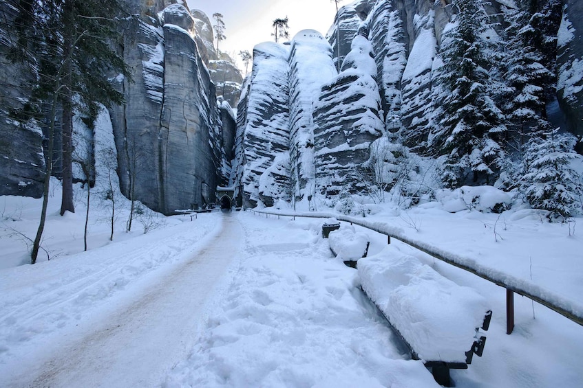 Picture 4 for Activity From Wroclaw: Hiking Trail in Rock City