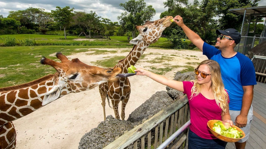 Zoo Miami: General Admission Ticket