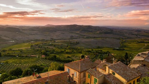 Montepulciano: Winery Tour and Tasting