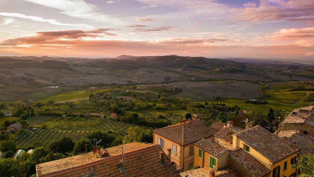 Picture 3 for Activity Montepulciano: Winery Tour and Tasting