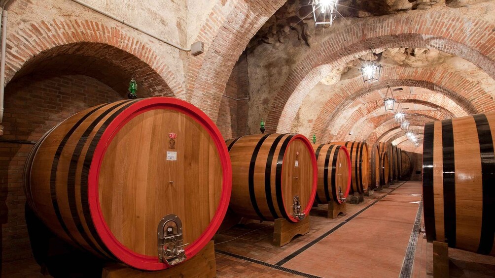 Picture 2 for Activity Montepulciano: Winery Tour and Tasting