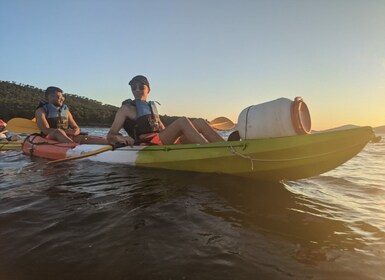 Morning Split Sea Kayaking Tour