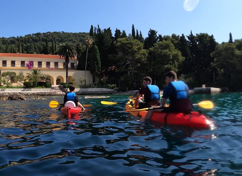 Picture 4 for Activity Morning Split Sea Kayaking Tour