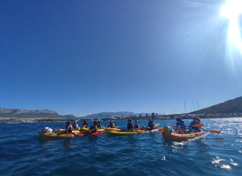 Picture 2 for Activity Morning Split Sea Kayaking Tour