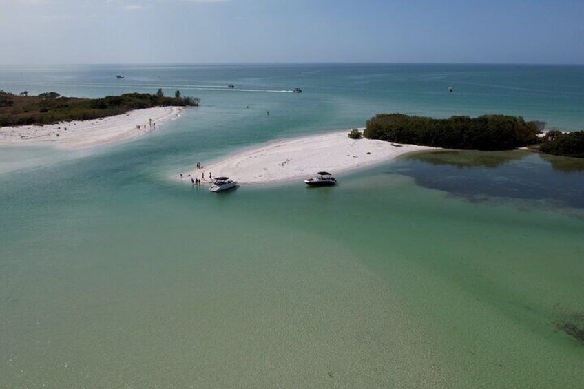 St. Pete Dolphin Watching and Shelling Adventure