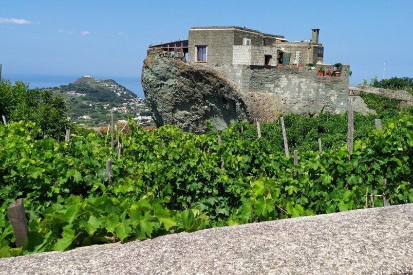 Half Day Private Guided Tour of the Island of Ischia
