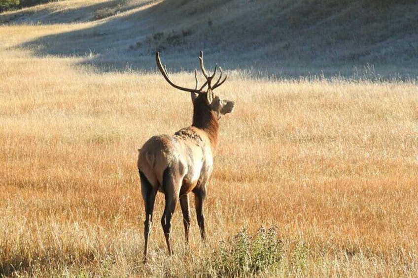 Banff Deep 1 Day Tour in Banff National Park