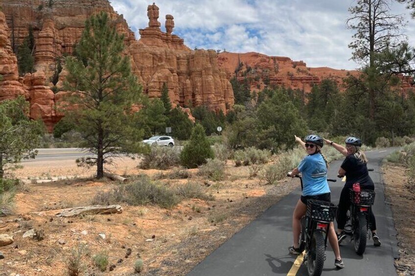 The "Salt and Pepper Shaker" hoodoos.