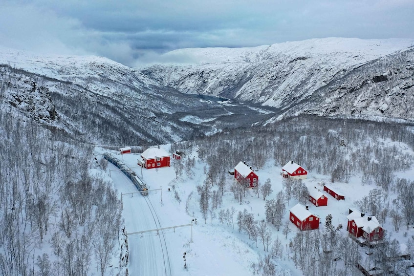 Picture 2 for Activity From Narvik: Round-Trip Arctic Train Ride on Ofoten Railway