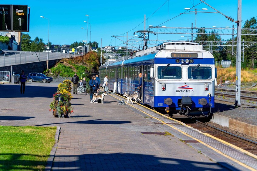 Picture 7 for Activity From Narvik: Round-Trip Arctic Train Ride on Ofoten Railway