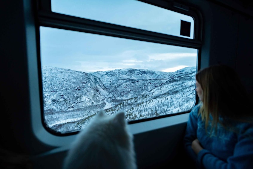 Picture 1 for Activity From Narvik: Round-Trip Arctic Train Ride on Ofoten Railway