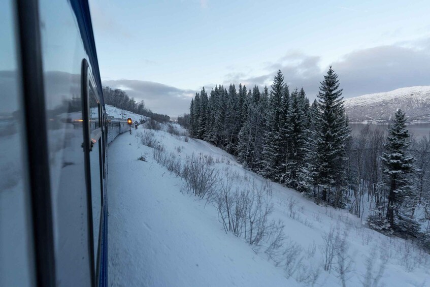 Picture 3 for Activity From Narvik: Round-Trip Arctic Train Ride on Ofoten Railway