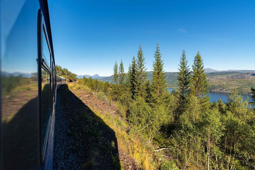 Picture 6 for Activity From Narvik: Round-Trip Arctic Train Ride on Ofoten Railway