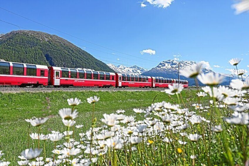 From Como: Day trip to St. Moritz & Panoramic Bernina Express