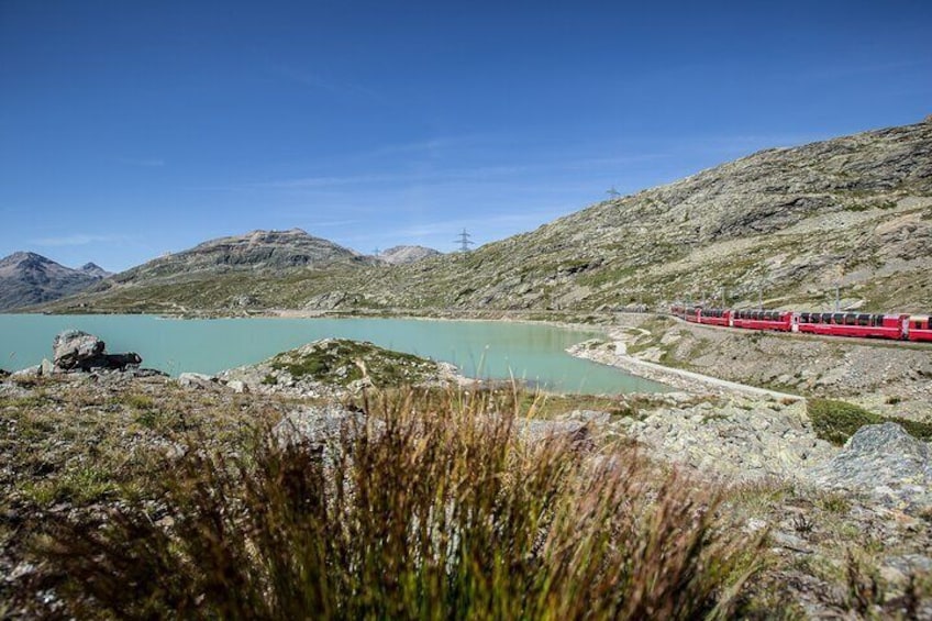 From Como: Day trip to St. Moritz & Panoramic Bernina Express