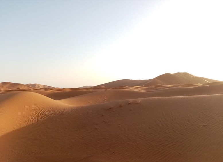 Picture 2 for Activity From Agadir or Taghazout: 2-Day Sahara Desert Tour to Zagora