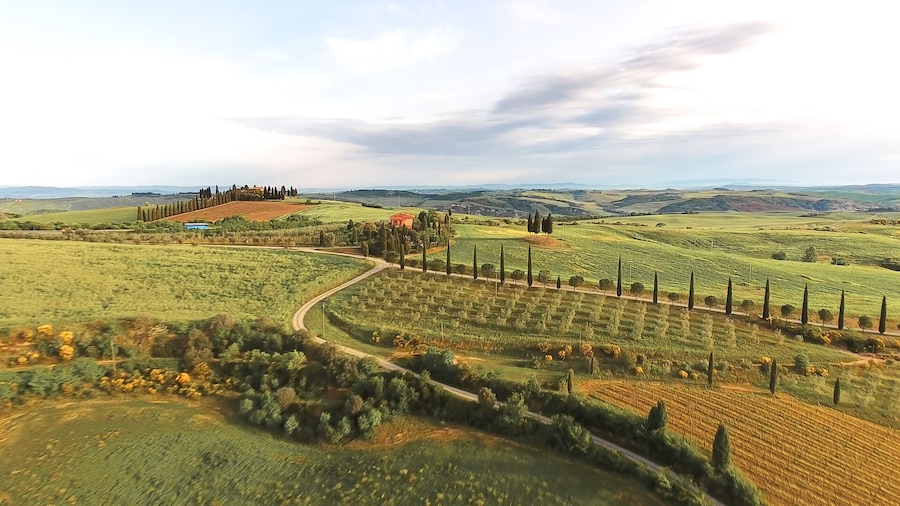 Siena, S.Gimignano, Pisa: Round Trip by bus from Florence with Tour Escort