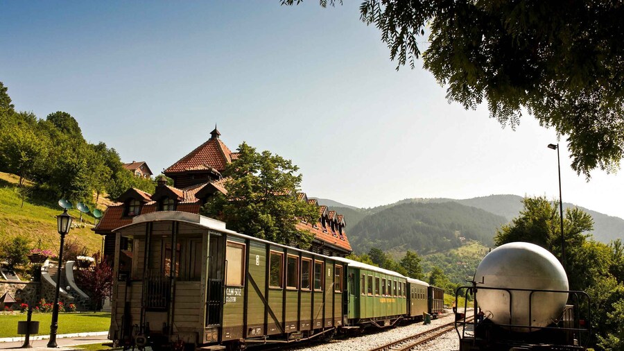 From Belgrade: Sargan 8 Railway and Wooden City 1 Day Tour
