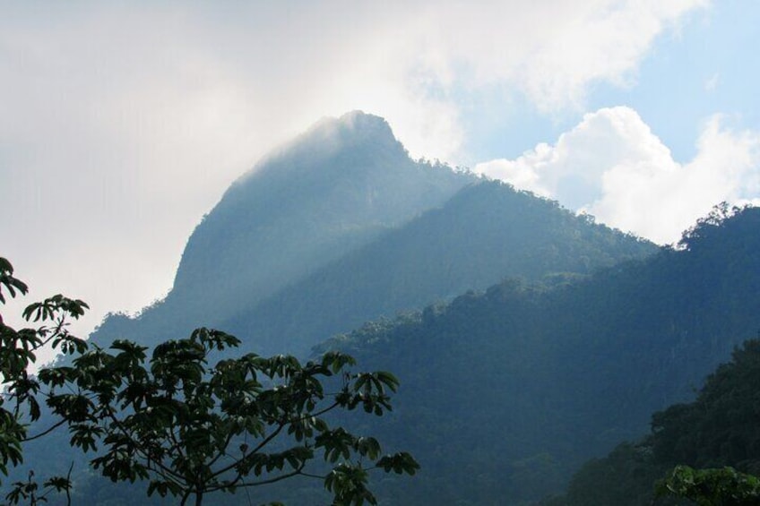 Parrot Peak - Cali Farallones