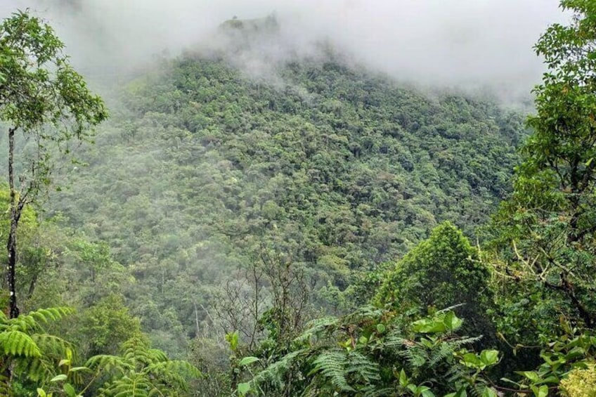 Private 12-hour tour of the Farallones de Cali