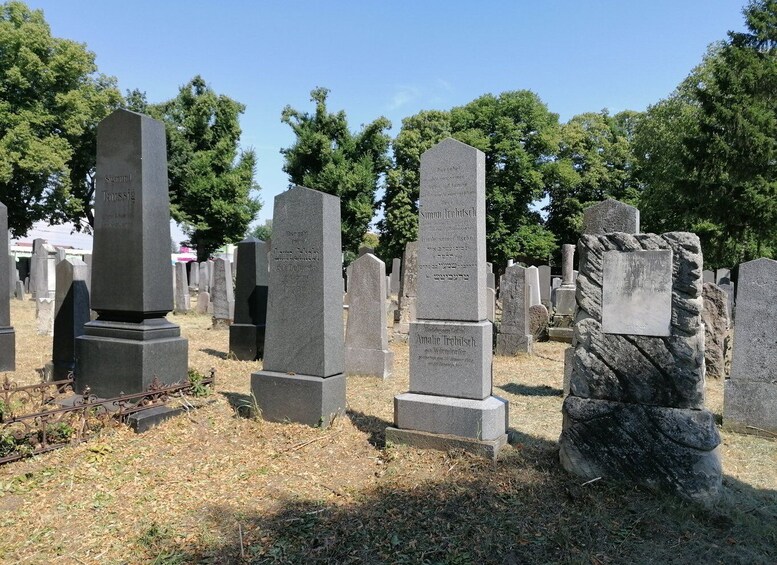 Picture 6 for Activity 3-Hour Walking Tour of Vienna Central Cemetery