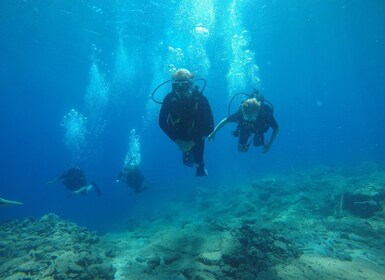 Oia: 2 Guided Scuba Dives off Santorini