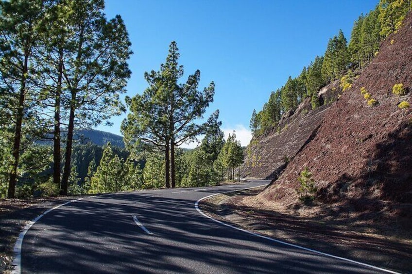 Private Car Tour into the Heart of Tenerife