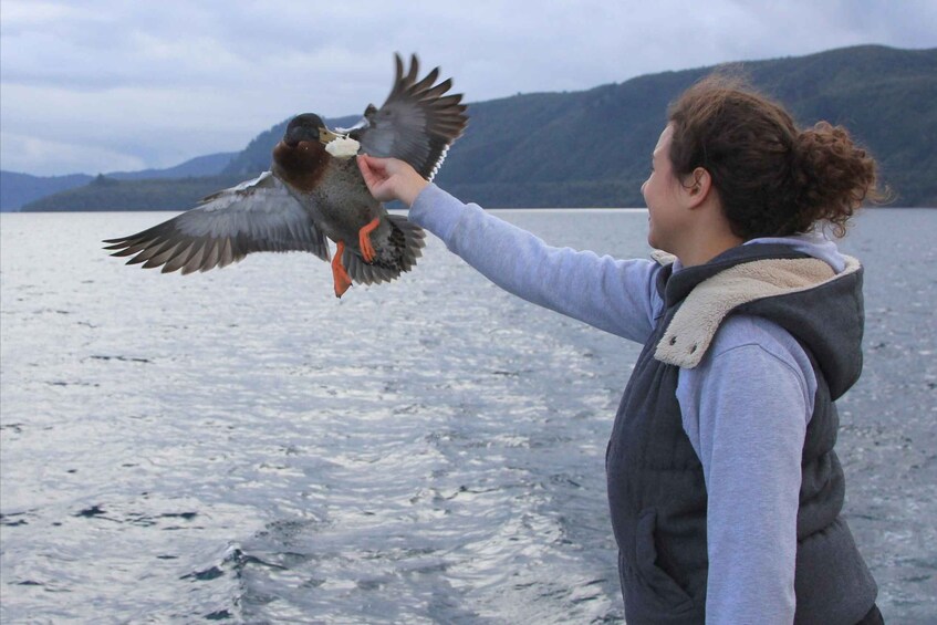 Picture 7 for Activity Lake Taupo: Maori Rock Carvings 10.30 AM 1.5-Hour Cruise