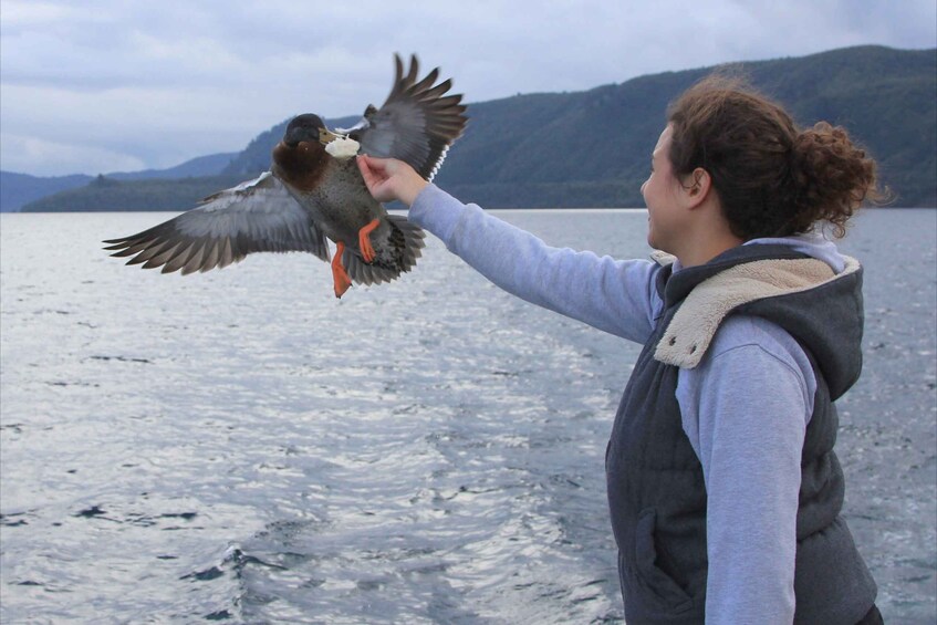 Picture 7 for Activity Lake Taupo: Maori Rock Carvings 10.30 AM 1.5-Hour Cruise