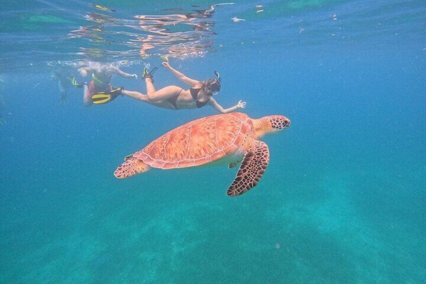  Culebra Swim with Turtles Adventure and Flamenco Beach by Ferry