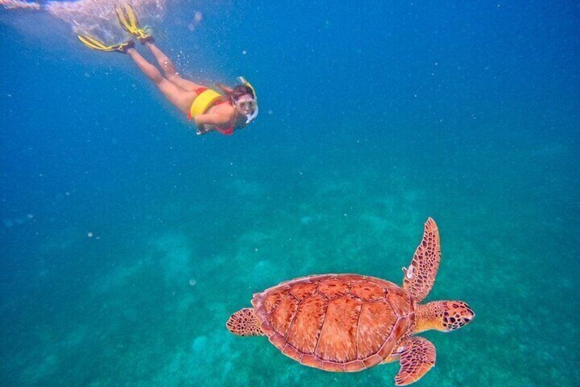  Culebra Swim with Turtles Adventure and Flamenco Beach by Ferry