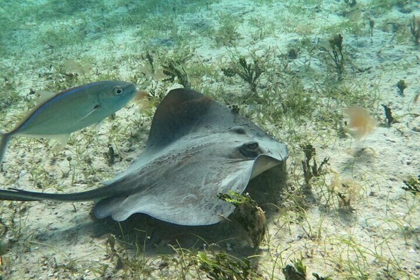 Full-Day Culebra Snorkeling Adventure and Flamenco Beach from San Juan by Ferry