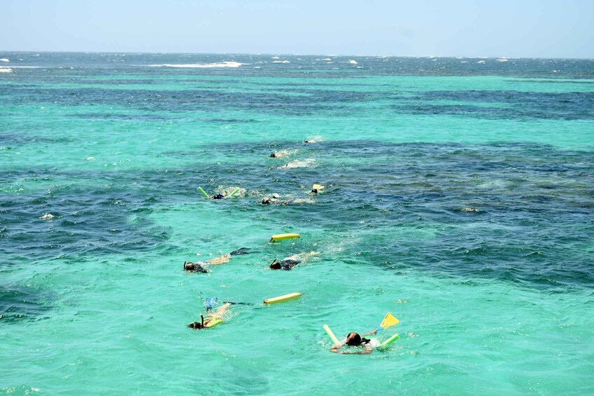 Picture 2 for Activity Coral Bay: Ningaloo Reef 3-Hour Turtle Ecotour