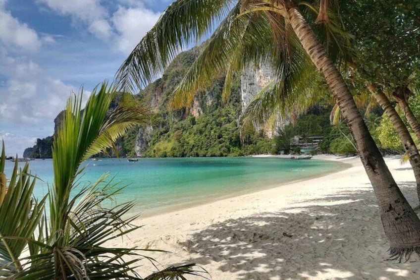 Highlights of Phi Phi Islands