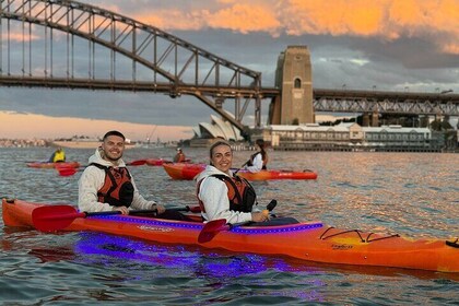 Sesión de remo al atardecer en el puerto de Sydney