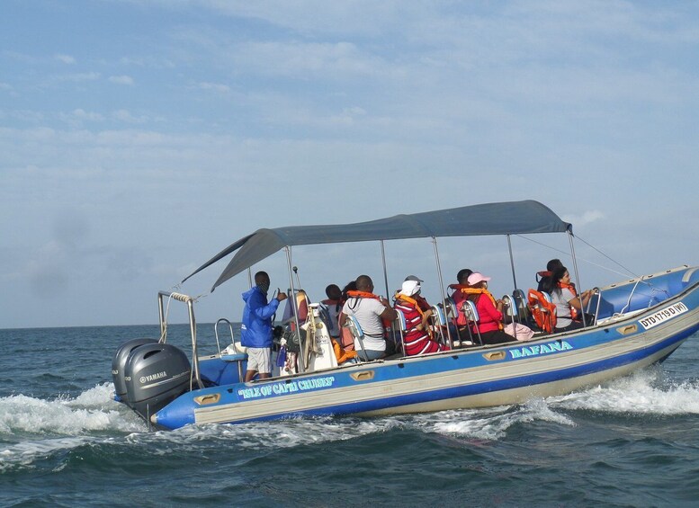 Picture 1 for Activity Durban: 1-Hour Boat Cruise from Wilson's Wharf