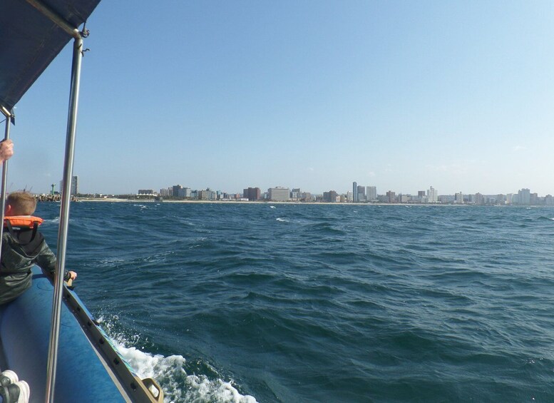 Picture 5 for Activity Durban: 1-Hour Boat Cruise from Wilson's Wharf
