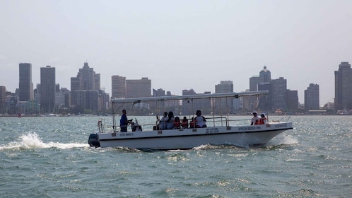 Durban: 1-Hour Boat Cruise from Wilson's Wharf