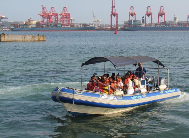 Picture 6 for Activity Durban: 1-Hour Boat Cruise from Wilson's Wharf