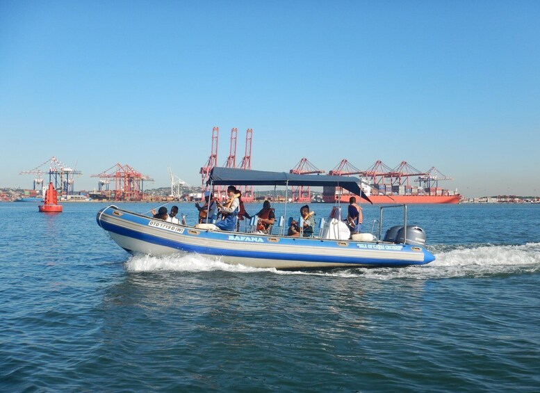 Picture 11 for Activity Durban: 1-Hour Boat Cruise from Wilson's Wharf