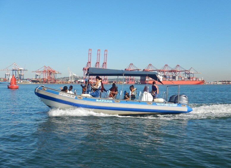 Picture 9 for Activity Durban: 1-Hour Boat Cruise from Wilson's Wharf