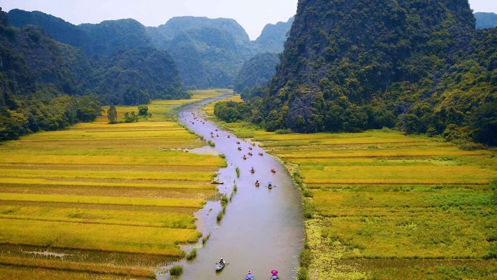 Picture 2 for Activity Private Full Day Tam Coc, Cuc Phuong National Park W/ Lunch