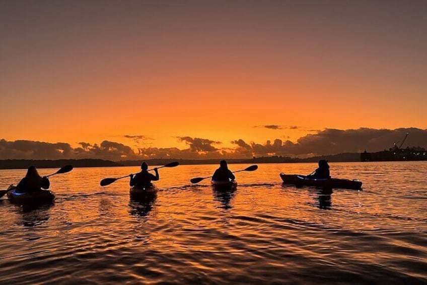 Sunrise Paddle Session on Syndey Harbour 