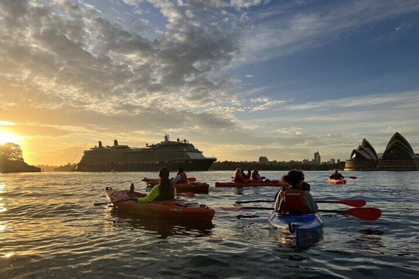 Sunrise Paddle Session on Syndey Harbour 