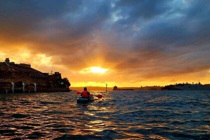 Sunrise Paddle Session on Syndey Harbour