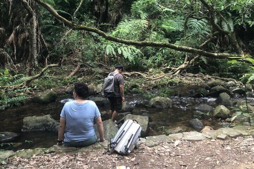 Nature Immersion by the stream