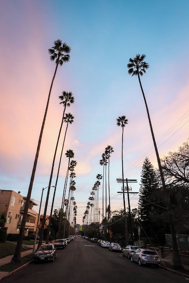 Hollywood Night Tour with Griffith Observatory