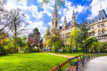 Stefanskatedralen og de viktigste kirkene i gamlebyen i Wien